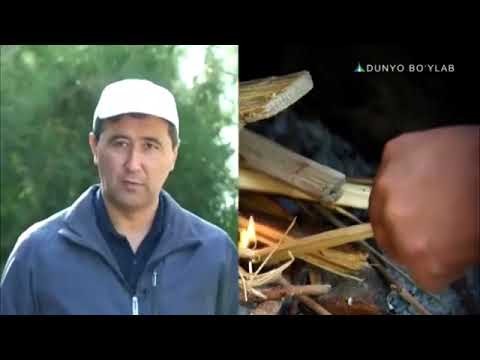 Видео: ИСО тайёрлаш  технологтяси