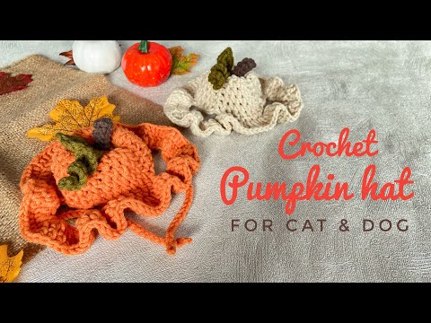 Видео: Вязаная крючком шапка-тыква для кошек и собак 🎃 | Жуткий сезонный выпуск 🎃