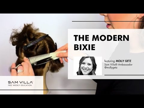 Видео: Современная Бикси