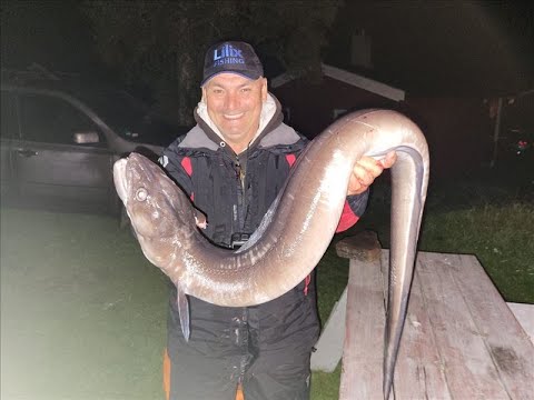 Видео: Поймали Морского Угря на 10кг.