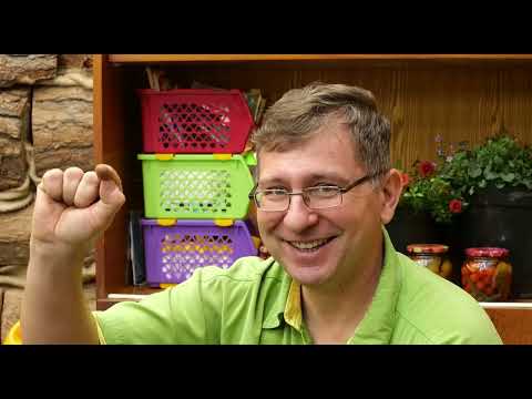 Видео: Сеем перец на рассаду