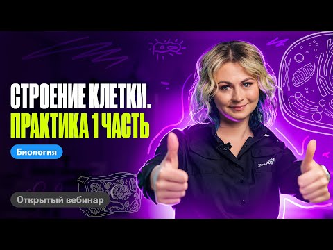 Видео: Строение клетки. Практика 1 часть | ЕГЭ по биологии 2025 | Ксения Напольская