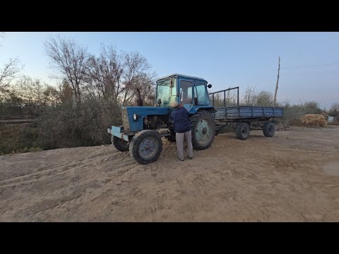 Видео: ЗУДЛИК БИЛАН МТЗ 80 ТРАКТОРИ СОТИЛАДИ ЭГАДАН 