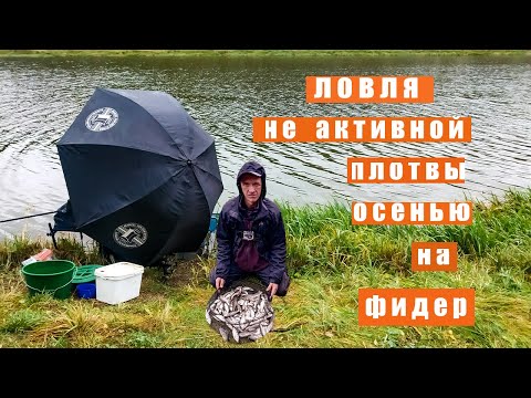 Видео: Рыбалка на Вилейском водохранилище. Ловля не активной плотвы фидером осенью на водохранилище.