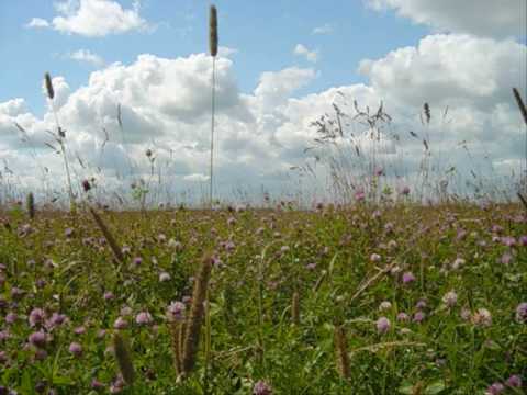 Видео: НЮРКИНА ПЕСНЯ- ПЕЛАГЕЯ