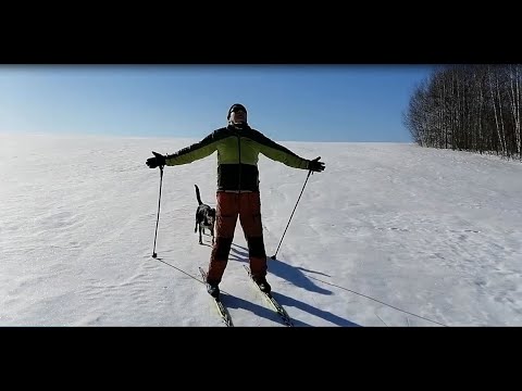 Видео: Наст 3 го марта