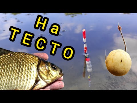 Видео: Карп на тесто и на ПОПЛАВОК!!! Даже ЛЯГУШКИ ловятся!!!