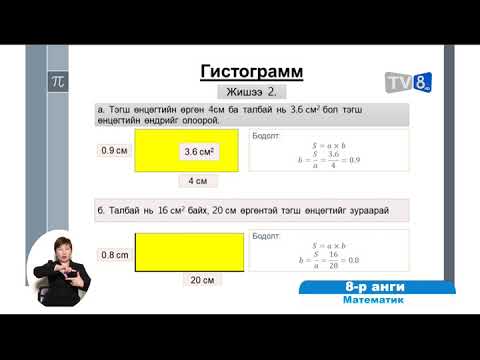 Видео: 8 өгөгдлийг дүрслэх, гистограмм