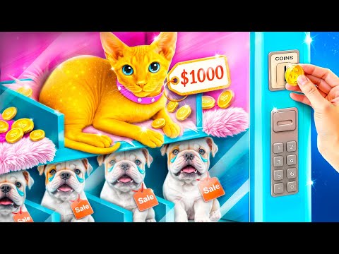 Видео: Богатая vs бедная кошка! Строим секретные домики для животных!