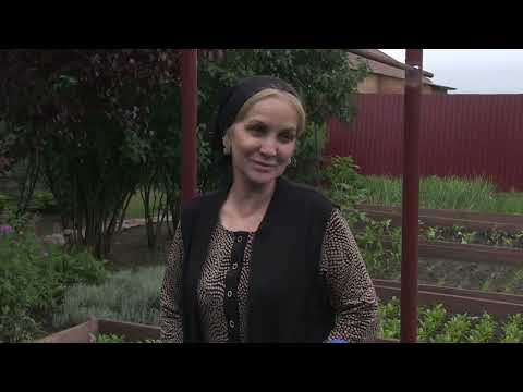 Видео: Вай боахам 270524 автор Холохоева Пятимат