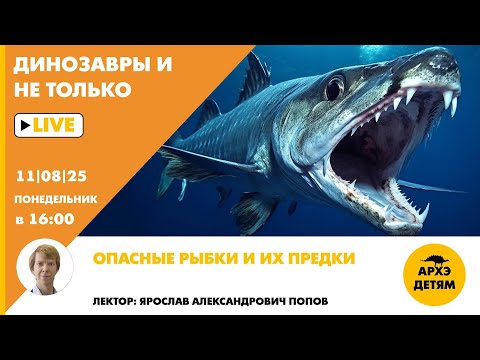 Видео: Занятие "Опасные рыбки и их предки" рубрики "Динозавры и не только" с Ярославом Поповым
