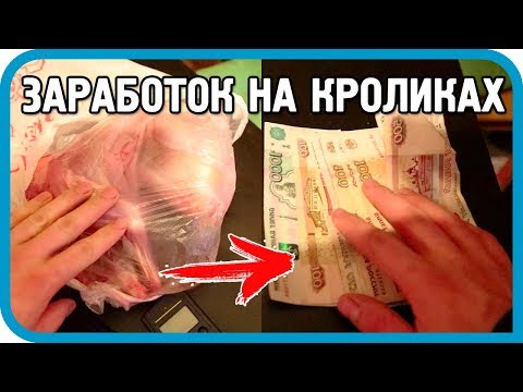 Видео: Сколько можно заработать на продаже кроликов? Реальные примеры
