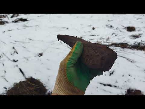 Видео: ВЕСЕННИЙ КОП МЕТАЛЛА  С GARETT ACE 250