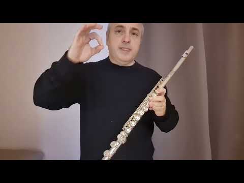 Видео: Как перейти с Блокфлейты на поперечную флейту урок 2  Моцарт Аллегретто