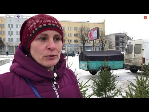 Видео: ШОСТКА !  Рынок Елок ( Покупаю елочку для Тетушки)