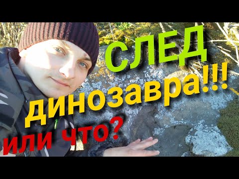 Видео: Нашёл след динозавра!Огромный след!