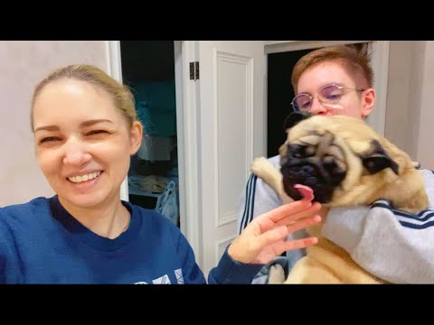 Видео: ВЛОГ ИДУ к МАМЕ в гости на беляши ! Играю с собакой Тедди ! VLOG At mother's house play with dog
