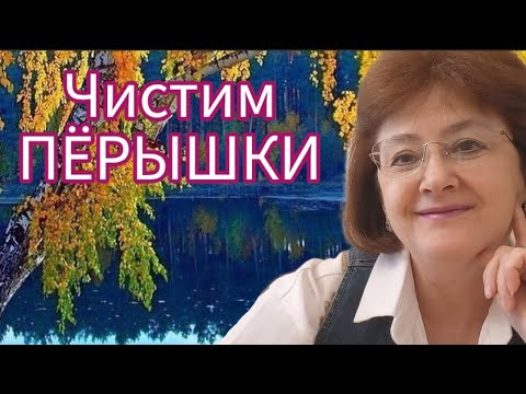 Видео: Перейти в Пространство Любви и Процветания