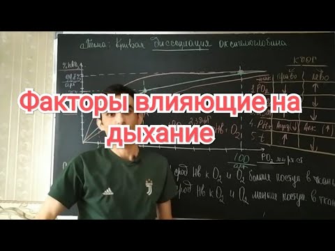 Видео: Физиология дыхание. Кривая диссоциации оксигемоглобина. Индекс Р50.