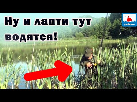 Видео: Рыбалка на поплавок на крупного карася на маленьком озерце