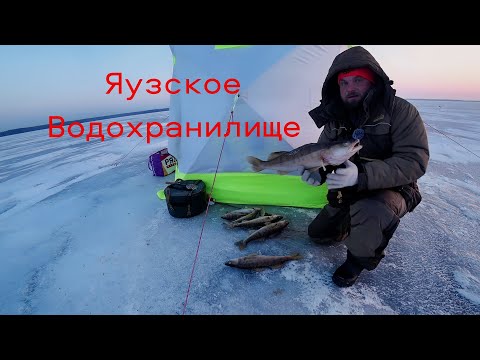Видео: Яузское Водохранилище. Наловил Судака Леща Опять не Поймал