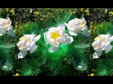 Видео: 1.1 Цветы из бутылок!  flowers from plastic!!! Делаем вместе.