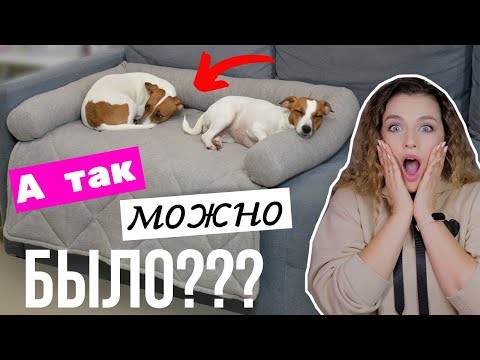 Видео: ЛЕЖАНКА - ПОКРЫВАЛО НА ДИВАН DIY | ЗАЩИЩАЕТ ДИВАН ОТ СОБАЧЬЕЙ ШЕРСТИ И ГРЯЗИ