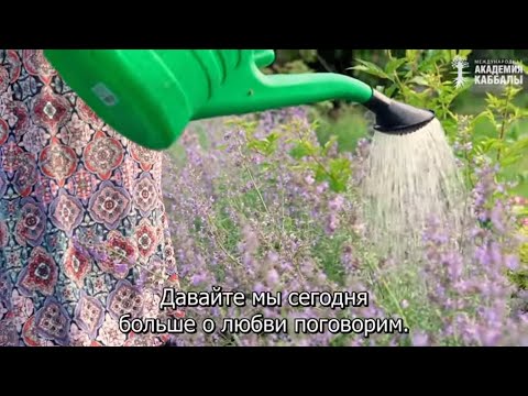 Видео: Не сдаваться, даже если любовь умерла. Взгляд каббалиста