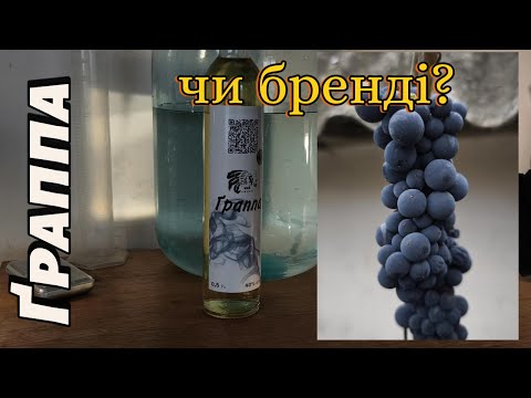 Видео: Ґраппа чи бренді? Виноград.