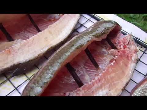 Видео: Коптим язя.  Тест новой коптилки.