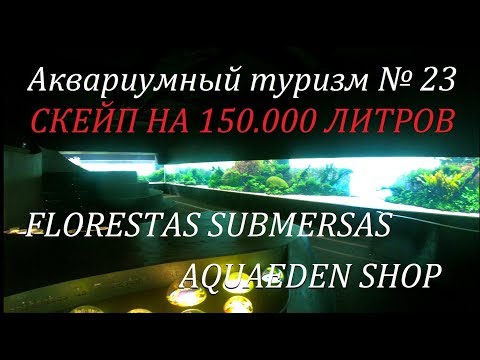 Видео: Аквариумный туризм №23 (Подводный лес Такаши Амано - акваскейп на 150 тонн, магазин aquaeden)