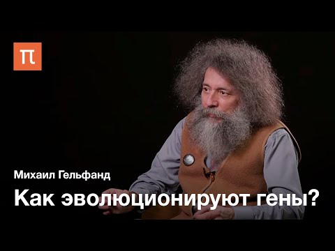 Видео: Ортологи и паралоги — Михаил Гельфанд / ПостНаука