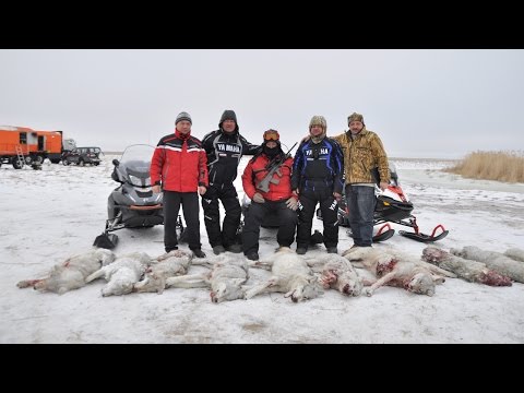 Видео: ТРЕЙЛЕР степные охотники 5 3