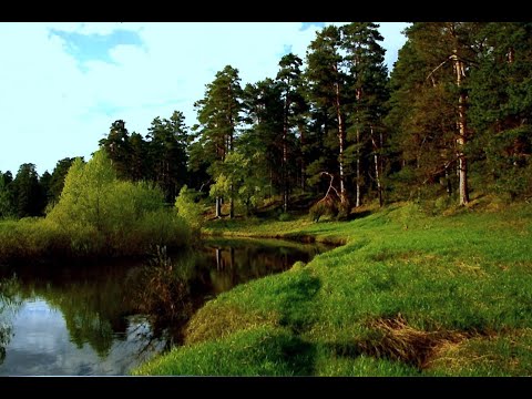 Видео: 🔝 ХуДоЖнИкИ | Летний лес | Озеро | Картина маслом | Художник Александр Григорьев | Рисуем вместе!