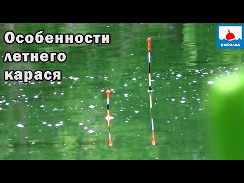 Видео: Особенности ловли капризного карася летом - рыбалка на поплавок. Рыбаки окружают...