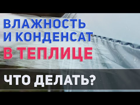 Видео: Влажность и конденсат в теплице 💧 Из за чего появляется и как избавиться?