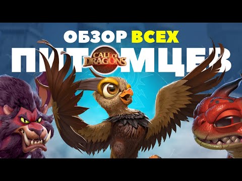 Видео: ◀ Обзор ПИТОМЦЕВ для всех ТИПОВ войск [ Call of Dragons ] ▶
