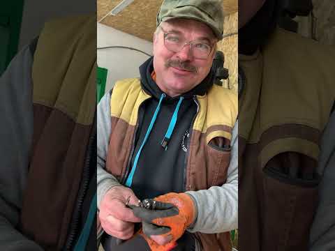 Видео: Підказка