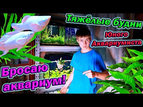 Видео: Всё! Бросаю аквариум! [Тяжёлые будни юного аквариумиста]
