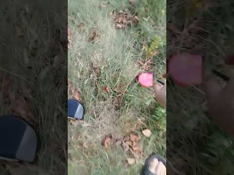 Видео: Xp deus 2 порівнняння HF2 катушки з чорною 9-ю на мідну монету