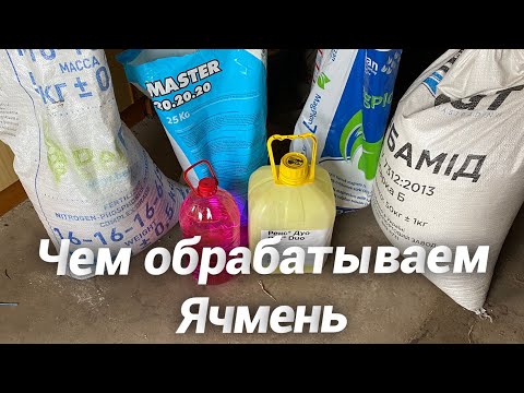Видео: Озимый Ячмень после обработки 28.04.2021