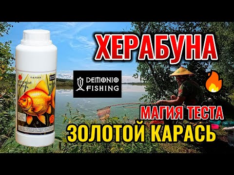 Видео: Рыбалка на Херабуну в августе. Тесто "Золотой Карась" DEMONIO FISHING.