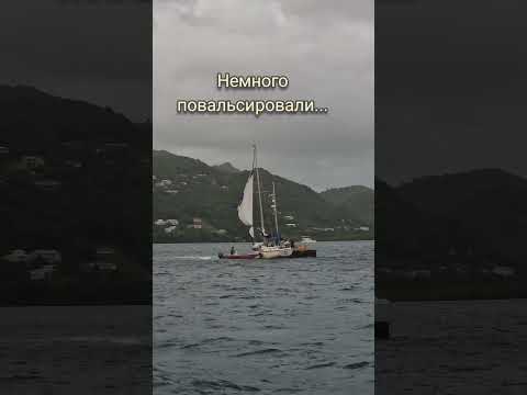 Видео: Когда заклинило парус и тебя буксируют... Вчера наблюдали на якорной стоянке такое😱 #sailing #жесть