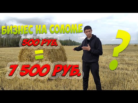 Видео: БИЗНЕС ИДЕЯ/Делаем ДЕНЬГИ из СОЛОМЫ/