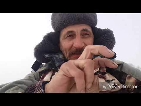 Видео: Пензенская Deaf Рыбалка