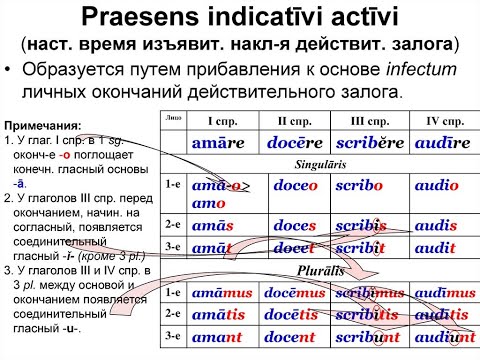 Видео: Praesens indicativi латинских глаголов