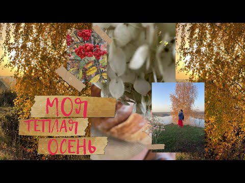 Видео: Теплая осень, шью, вяжу и мои прогулки 🍂