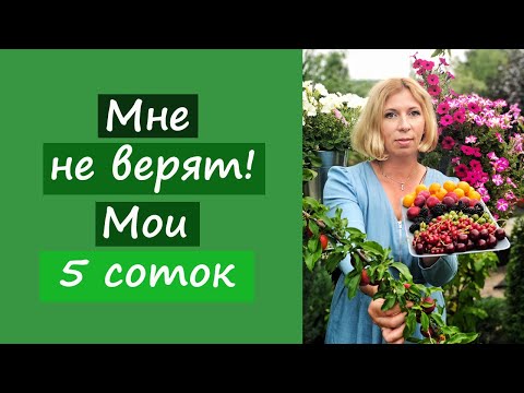 Видео: Мне не верят! Мои 5 соток