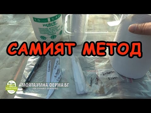 Видео: Нов метод за засяване на Домати за разсад част 2.
