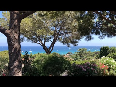 Видео: Каникулы на юге Франции. Сент Максим🌴